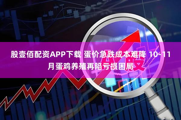 股壹佰配资APP下载 蛋价急跌成本难降 10-11月蛋鸡养殖再陷亏损困局