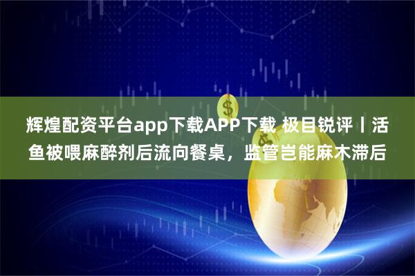 辉煌配资平台app下载APP下载 极目锐评丨活鱼被喂麻醉剂后流向餐桌,监管岂能麻木滞后