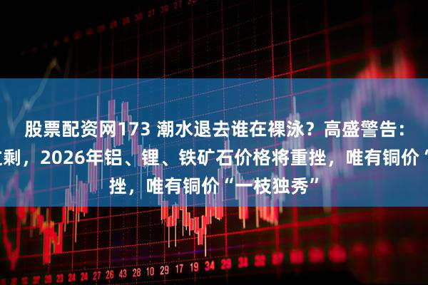 股票配资网173 潮水退去谁在裸泳?高盛警告:供应严重过剩,2026年铝、锂、铁矿石价格将重挫,唯有铜价“一枝独秀”