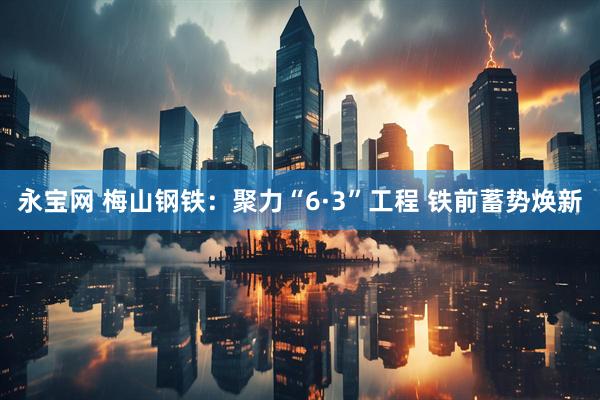 永宝网 梅山钢铁：聚力“6·3”工程 铁前蓄势焕新
