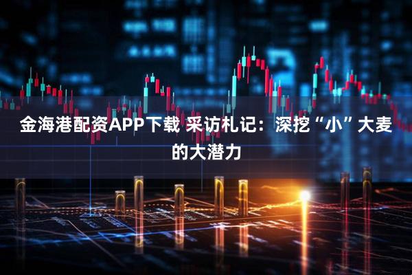 金海港配资APP下载 采访札记：深挖“小”大麦的大潜力