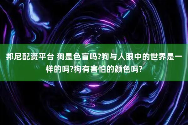邦尼配资平台 狗是色盲吗?狗与人眼中的世界是一样的吗?狗有害怕的颜色吗?